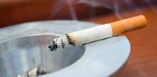 Birahim Seck et sa plaidoirie pour l’augmentation du prix du tabac pour sauver la jeunesse sénégalaise