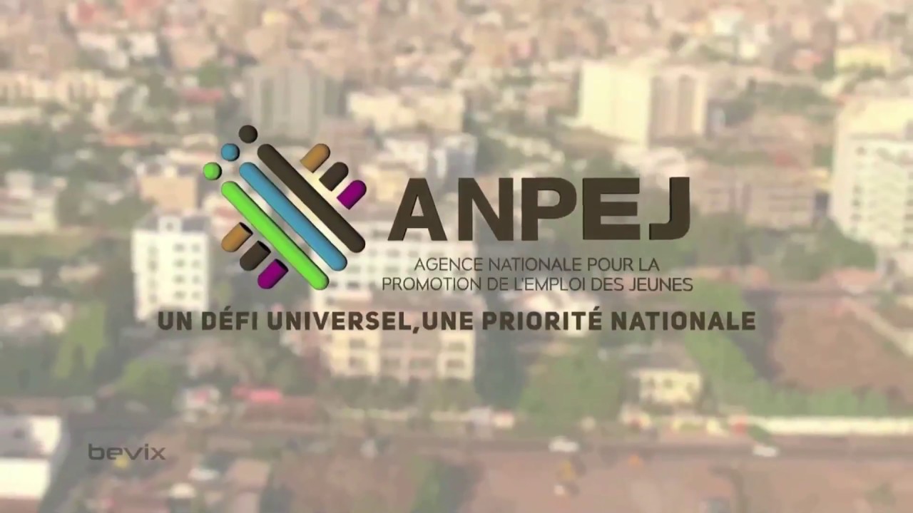 Travailleurs FERA, Anpej, Université numérique Cheikh Hamidou Kane et AGS, face à la presse