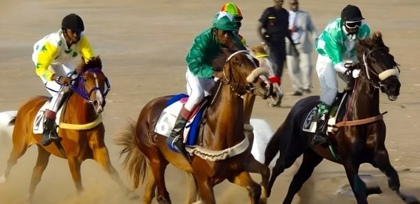 Courses hippiques – Les résultats de la 14e journée