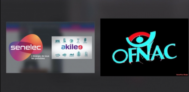 Affaire Akilee : l’Ofnac parle d’escroquerie et tentative d’escroquerie portant sur les deniers publics, détournement de deniers publics…