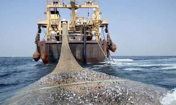132 navires sénégalais et 19 bateaux étrangers autorisés à pêcher