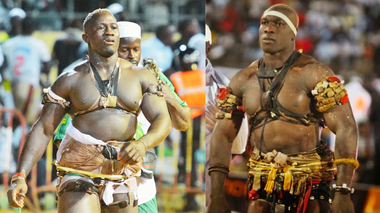 ECHOS DES ARENES : Ada Fass vs Gouye Gui récupéré par Albourakh