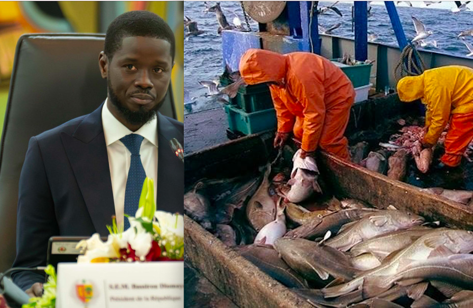 LE PRÉSIDENT DE LA RÉPUBLIQUE VEUT NETTOYER LE SECTEUR DE LA PÊCHE : Diomaye demande le renforcement de la lutte contre la pêche illicite, l’audit du pavillon sénégalais et l’évaluation des accords et licences de pêche
