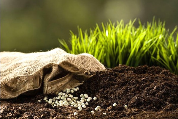 Baisse du prix des engrais de 22% et hausse de la quantité de 35.000 tonnes