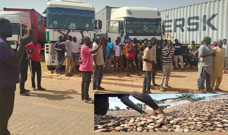 INTERDICTION DU TRANSPORT DE L’ANACARDE PAR LA VOIE TERRESTRE : 250 camions portant des containers de 40 pieds bloqués à Ziguinchor