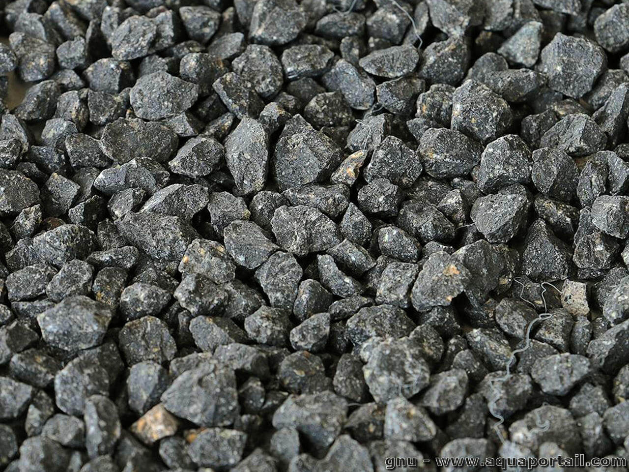 Bizarrerie dans l’arrestation d’un ingénieur en génie civil venu de Dubaï