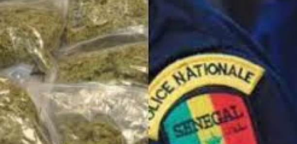 OPERATION COUP DE POING A RUFISQUE : Deux dealers tombent avec 36,5 kg de yamba