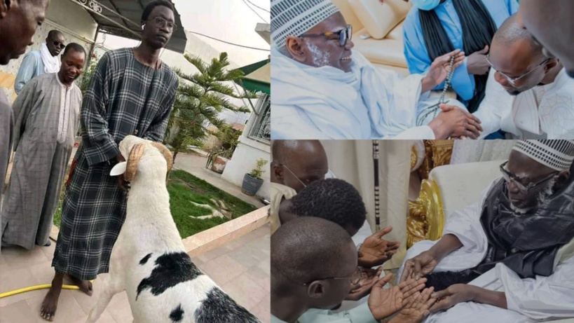 Sonko et ses moutons