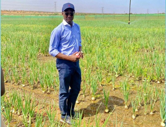 Saint-Louis : Visite du ministre de l'agriculture, de la souveraineté alimentaire et de l'élevage à l'entreprise SERIC