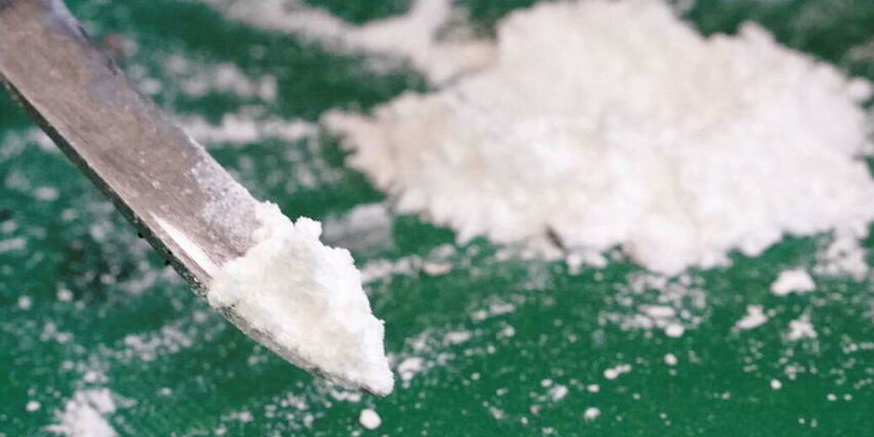 Saisie de 365,04 kg de cocaïne par la Douane d’une valeur de plus de 29 milliards