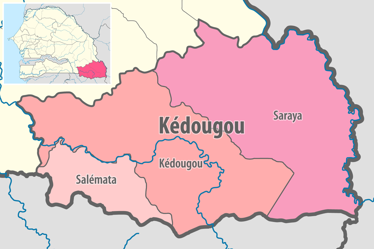 KEDOUGOU : Pastef gagne largement dans les trois départements
