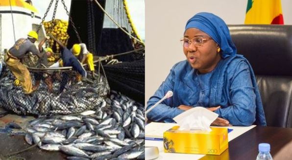 Accords de pêche avec l'UE : la ministre de la Pêche face à la presse demain