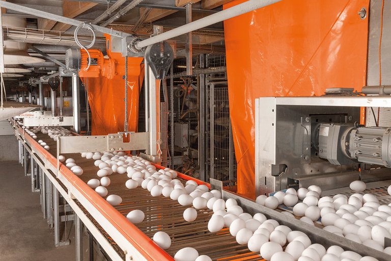 Le prix des œufs prend l'ascenseur