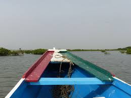 Vente aux enchères publiques