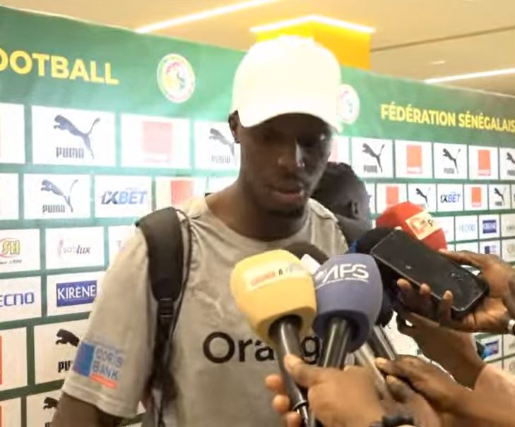 ZONE MIXTE avec les lions