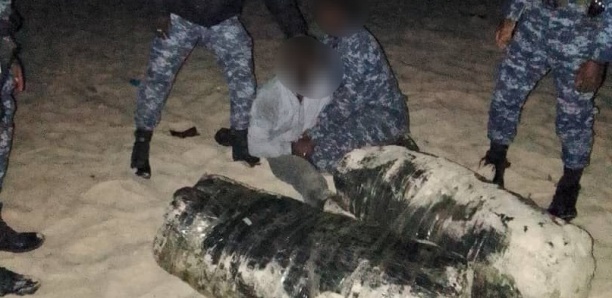 Saisie de 100 kg de chanvre indien à Mballing par la police