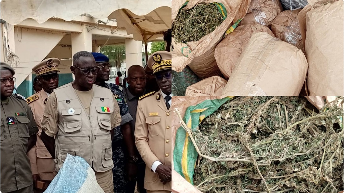 QUATRE TONNES DE CHANVRE INDIEN SAISIES DANS LES ÎLES KARONES A BIGNONA : Une opération majeure saluée par le ministre de l’Intérieur à Ziguinchor