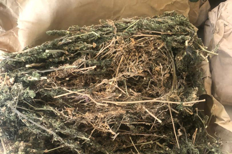 Saisie de drogue à Thioyène Hamady Mala : 80 kg de chanvre indien interceptés