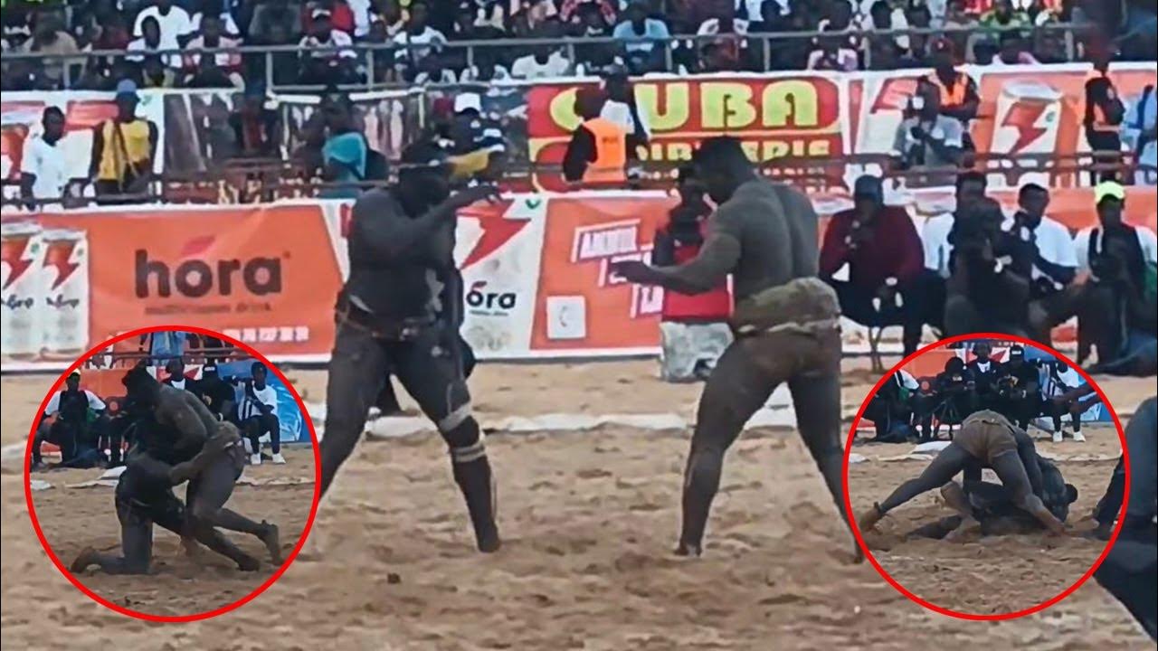 Lamb : Général Malika bat Gora Sock et poursuit son ascension vers les sommets de l’arène