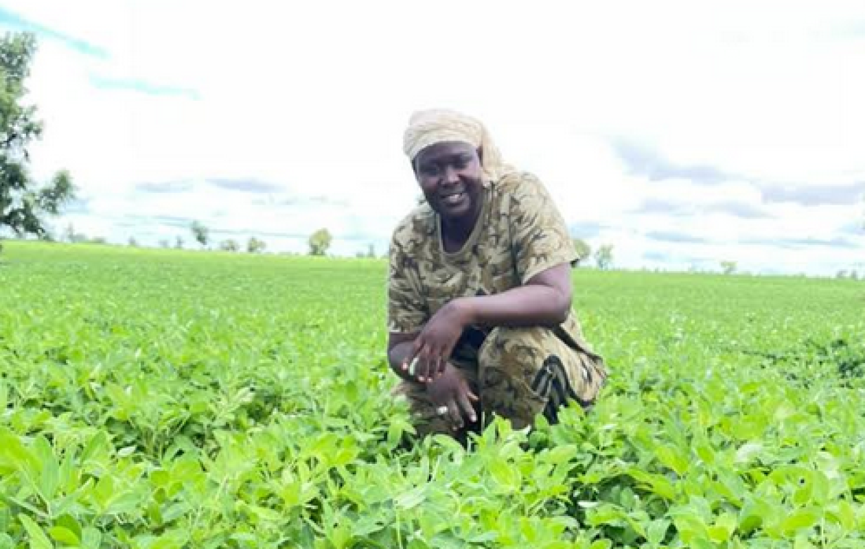 Agriculture : Amy Ndiaye Gniby reçoit les félicitations de Mabouba Diagne