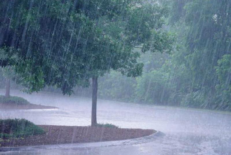 Week-end calme avec les pluies