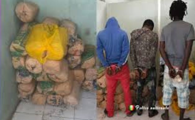 RUFISQUE : Arrestation pour trafic de chanvre indien