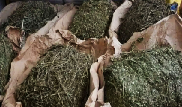 Pris avec 4 kg de chanvre, il tente de graisser la patte aux flics : trois trafiquants arrêtés