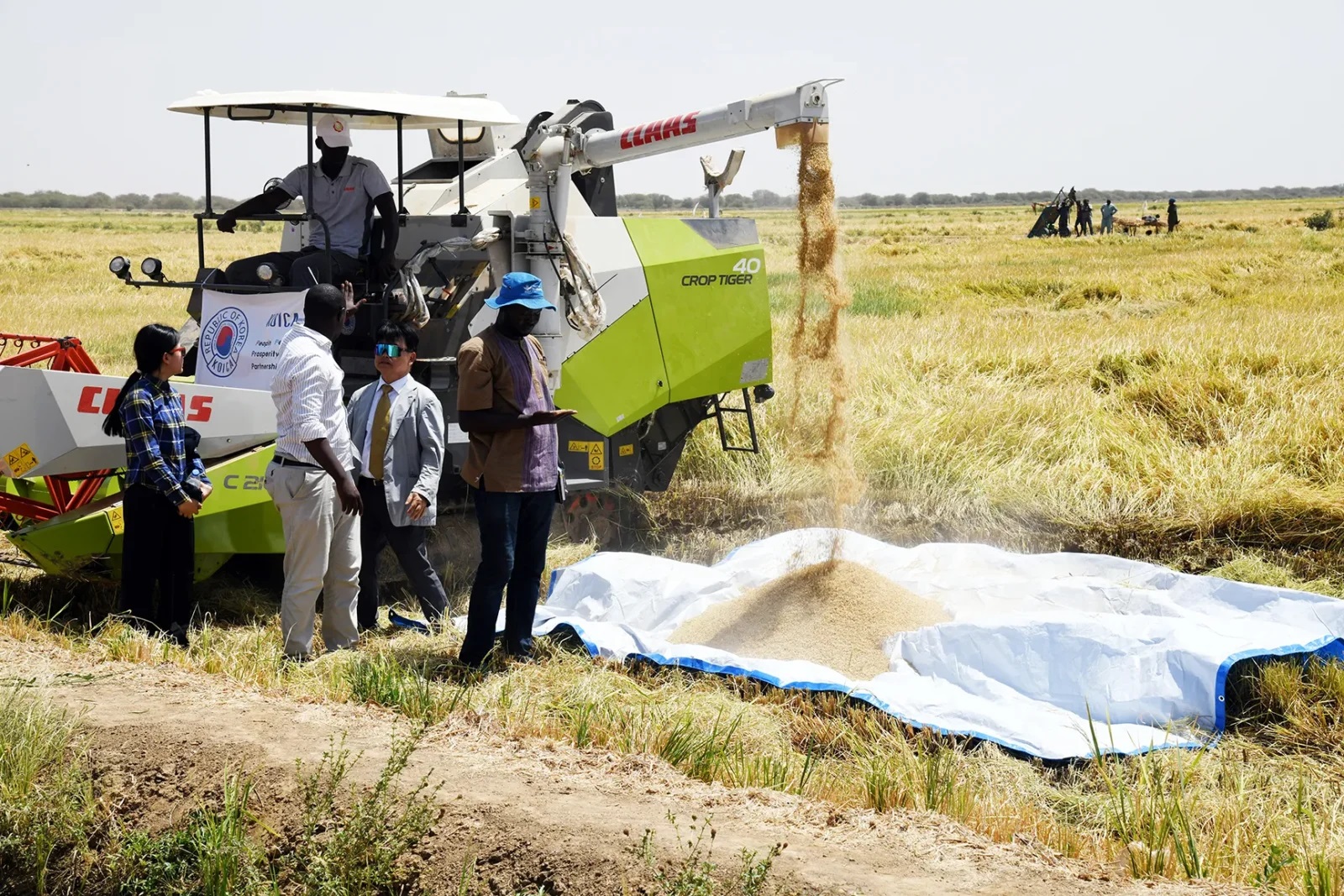 AUTOSUFFISANCE EN RIZ ET AMELIORATION DES SYSTEMES DE TRANSFORMATION ET DE COMMERCIALISATION DE LA PRODUCTION RIZICOLE : Diomaye Faye appelle à soutenir les riziculteurs