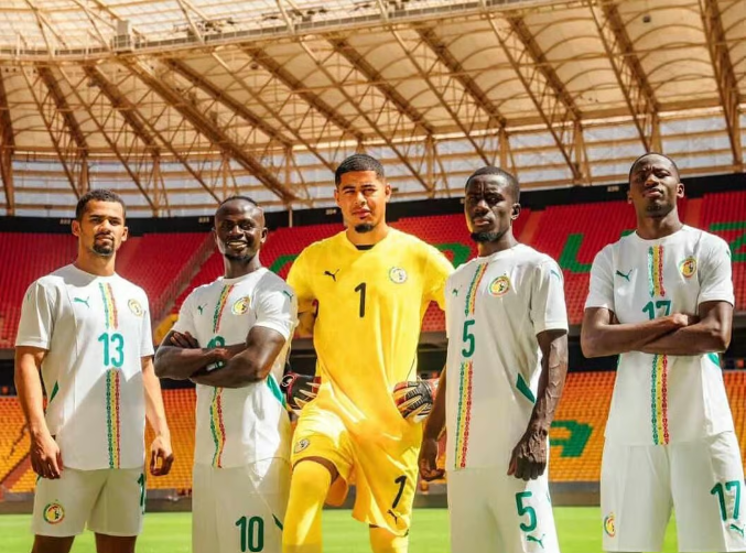 MAILLOTS DES LIONS, T-SHIRTS, BLOUSONS : Entre boutique officielle et réseaux sociaux, la fièvre monte, le marché explose