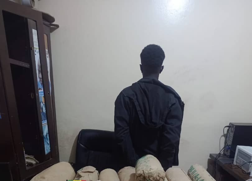 Trafic international de drogue : un individu arrêté avec 15 kg de chanvre indien par L'Ocrtis de Fatick