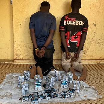 TRAFIC TRANSFRONTALIER : Deux individus arrêtés avec plus de 10.000 comprimés de Tramadol à Moussala