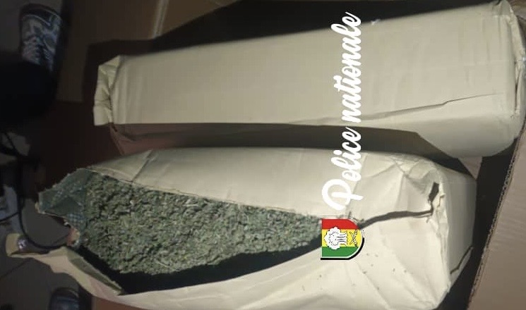 Saisie de 17 kg de kush en provenance d'Asie