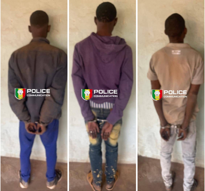 KEDOUGOU : Un réseau de trafic de kush et de médicaments démantelé près de la frontière malienne