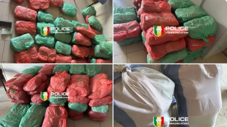 56 kg de cannabis saisis par la Brs de Dakar