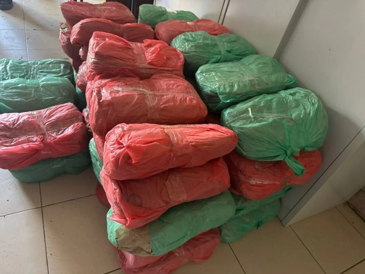 TRAFIC DE DROGUE A APIX KEUR MASSAR 56 kg de cannabis découverts dans un poulailler