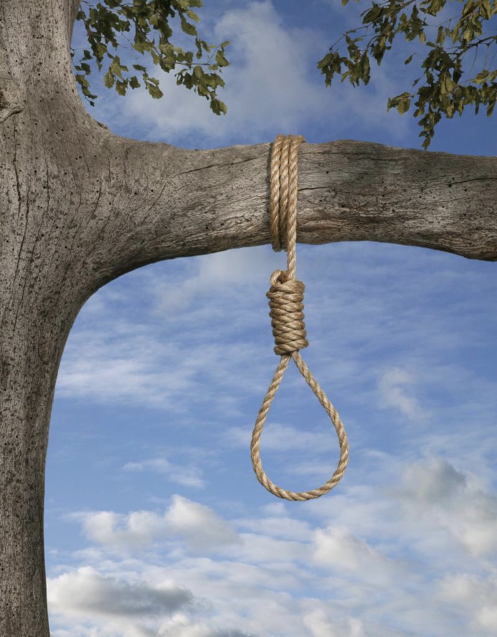 Un élève retrouvé mort et suspendu à un arbre