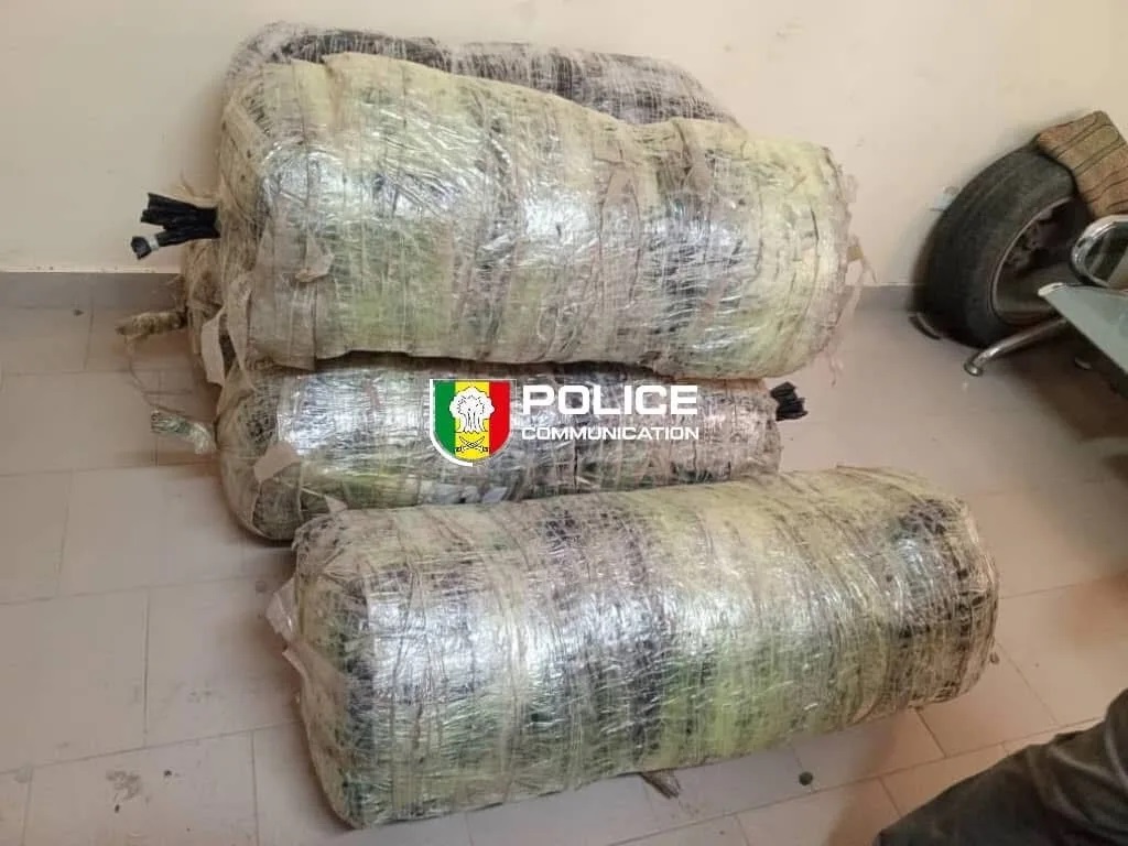NDIOUKH FISSEL 134,4 kg de chanvre indien saisis par la Brs de Thiès