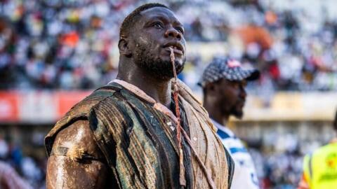 Franc, la nouvelle star de l’arène que tout le monde veut affronter