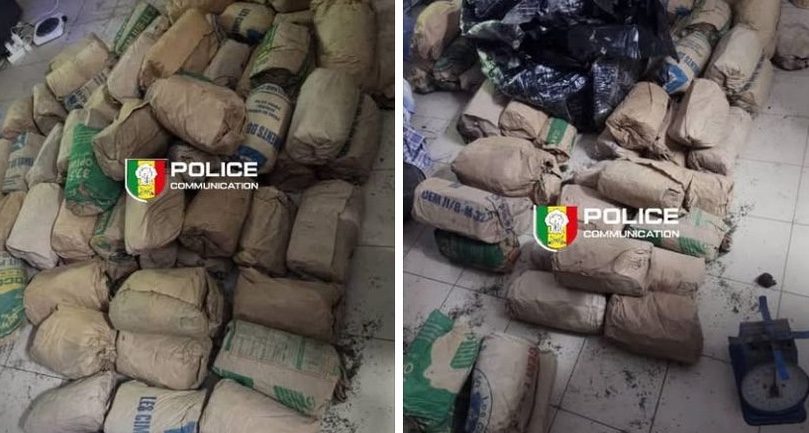 SAISIE DE 118 KG DE CHANVRE INDIEN A THIAROYE : La Brs frappe fort et démantèle un réseau important de la banlieue