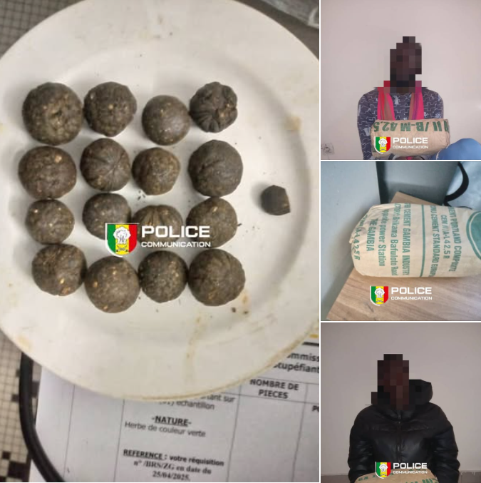 Ziguinchor : Deux personnes arrêtées ; des blocs de chanvre et de haschich saisis par la Brs