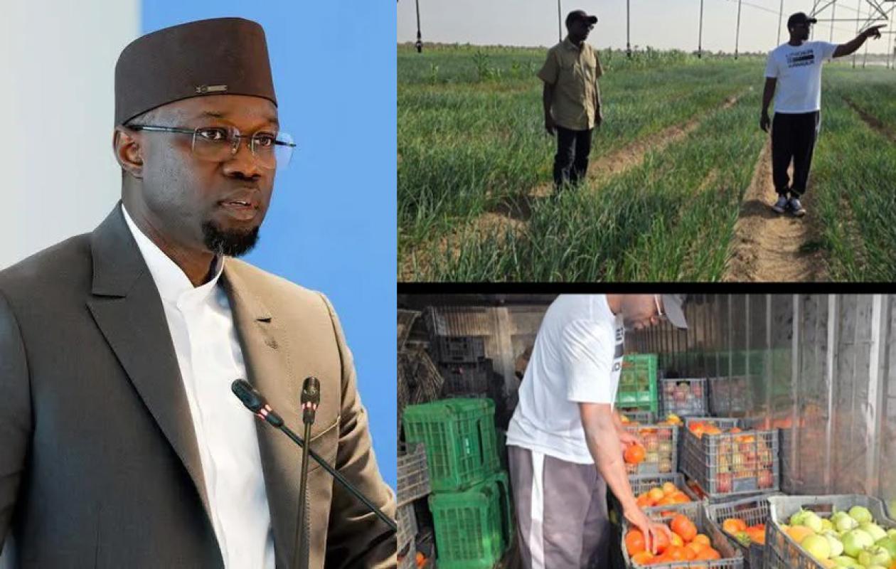 Sonko aux… champs pendant le speech de Diomaye lol