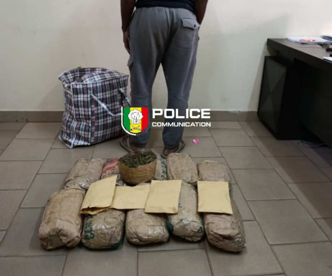 Saisie de 10,5 kg de chanvre indien à Sacré-Cœur