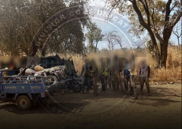 Plusieurs sites d'orpaillages clandestins démantelés par la gendarmerie