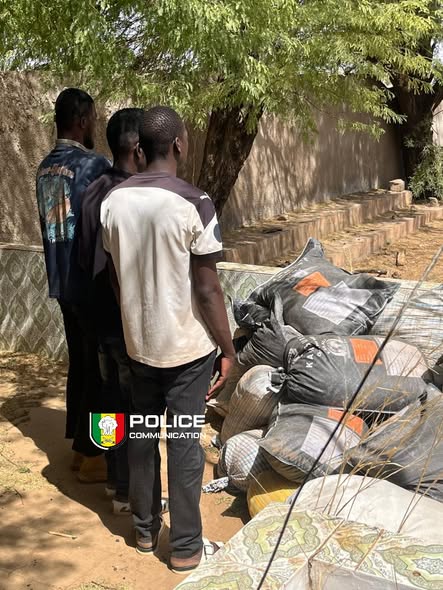 Sécurisation des frontières : Importante saisie de produits toxiques par le Commissariat Spécial de Kidira