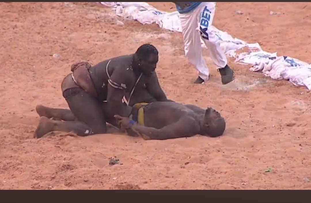 ARENE SENEGALAISE : La chute des rois, l’avènement d’un nouveau pouvoir  