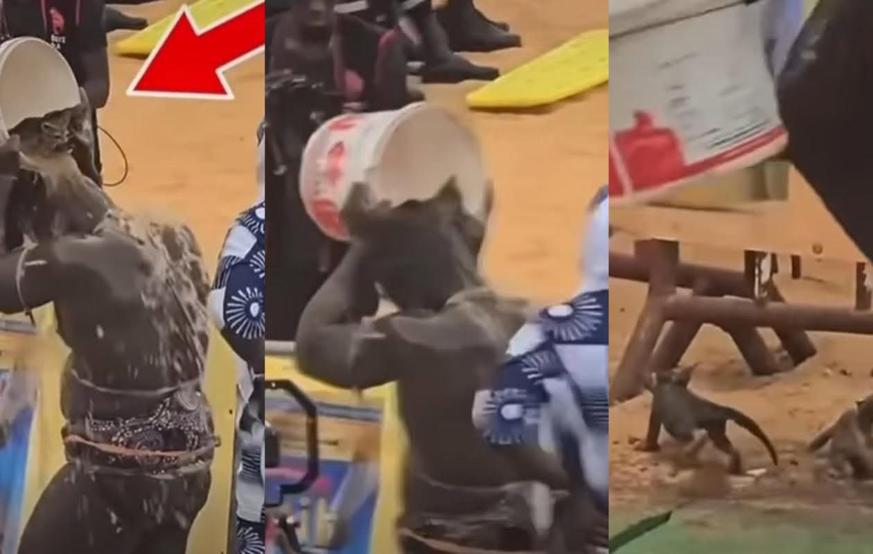 MALTRAITANCE ANIMALE DANS L'ARENE : Une plainte contre Reug-Reug sur la table de la Fsl