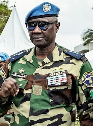 Candidature du général Birame Diop comme président de la commission de la Cedeao : Cheikh Niang à la manœuvre