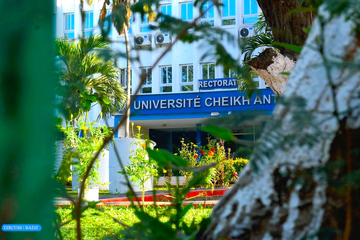 Université Cheikh Anta Diop : les mesures arrêtées par le conseil académique