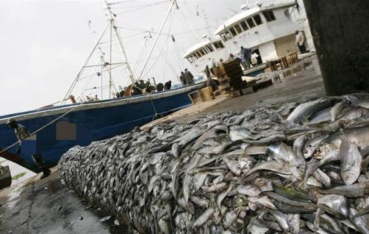 Affaire des licences de pêche : la commission d’enquête parlementaire démarre aujourd’hui