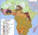 Liste des groupes ethniques d'Afrique avec environ 2 000  langues .